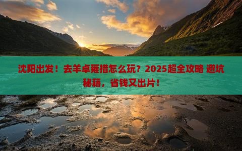 沈阳到西藏羊卓雍措旅行社