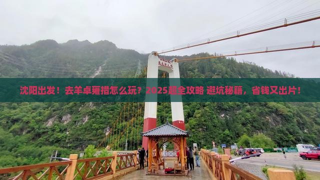 沈阳到西藏羊卓雍措旅行社