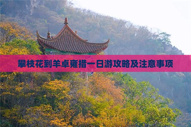 攀枝花到西藏羊卓雍措一日