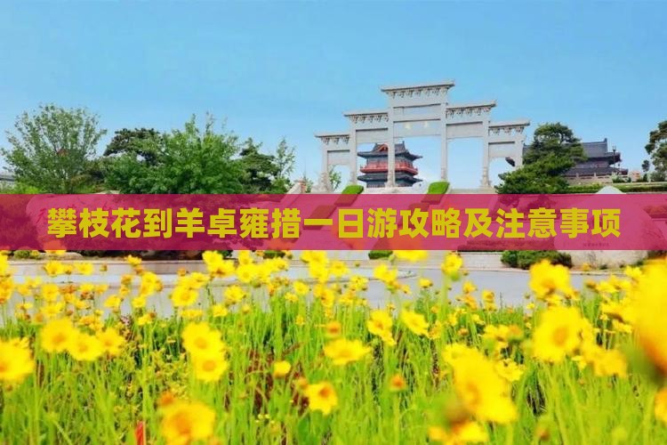 攀枝花到西藏羊卓雍措一日