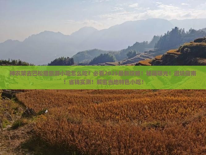 神农架去西藏巴松措旅游小吃