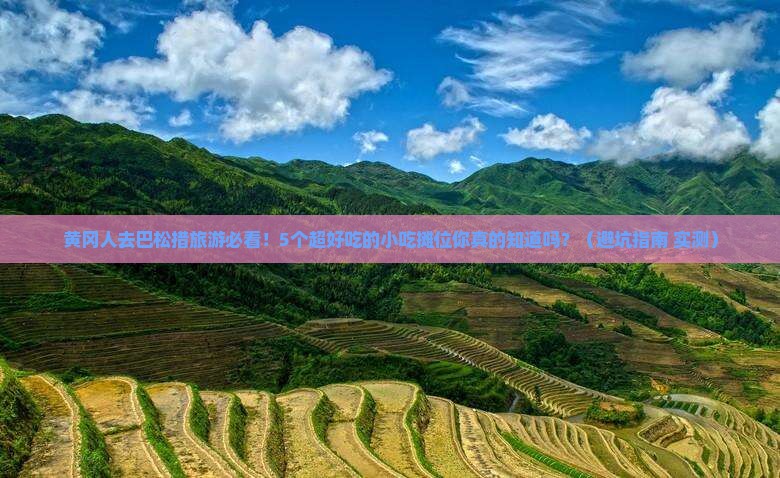 黄冈去西藏巴松措旅游小吃