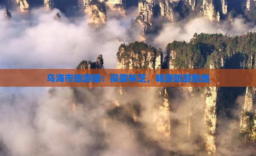 乌海市去西藏林芝大型旅游团