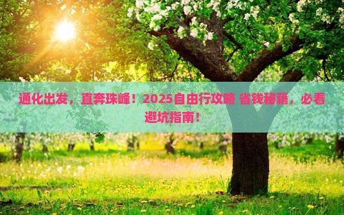 通化去西藏珠峰大本营自由团