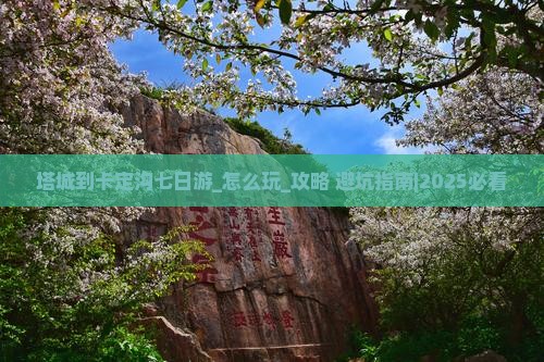 塔城到西藏卡定沟七日游