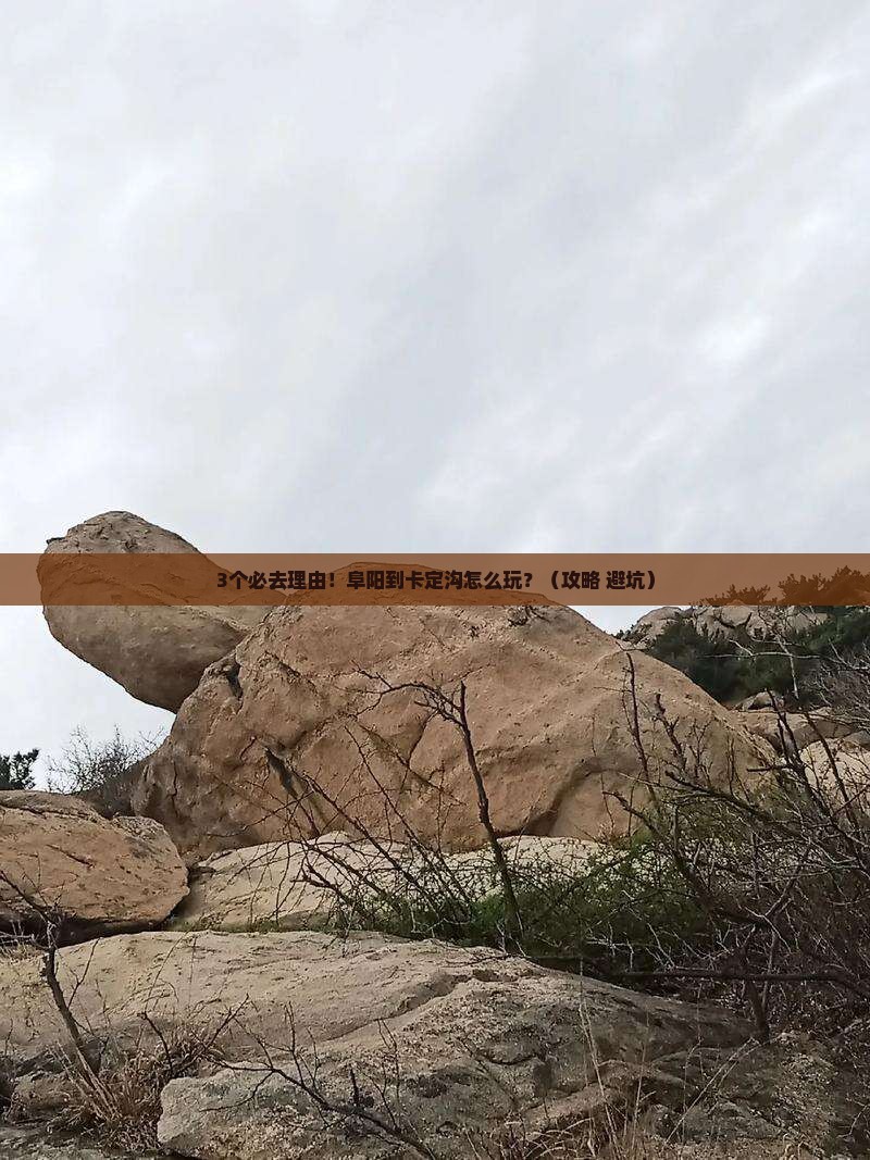 阜阳到西藏卡定沟必去地