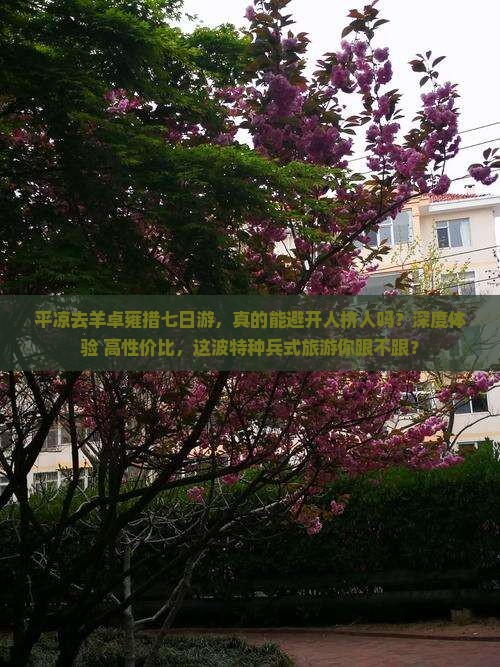 平凉去西藏羊卓雍措七日游