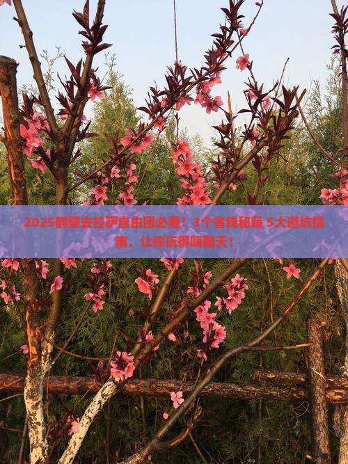 鹤壁去西藏拉萨自由团