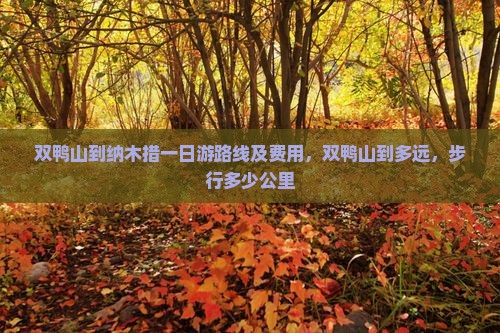 双鸭山到西藏纳木措一日