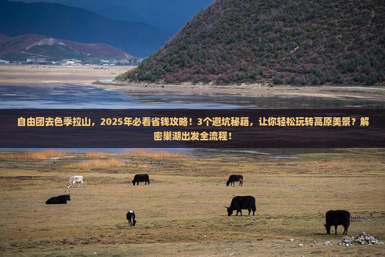 巢湖到西藏色季拉山自由团