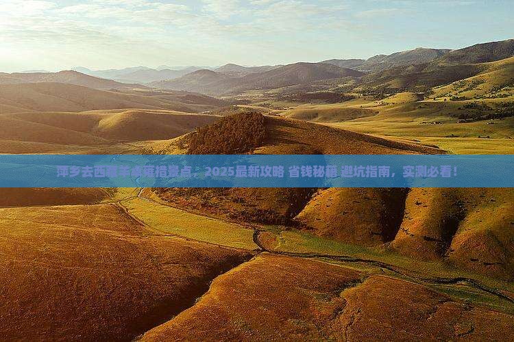 萍乡去西藏羊卓雍措景点