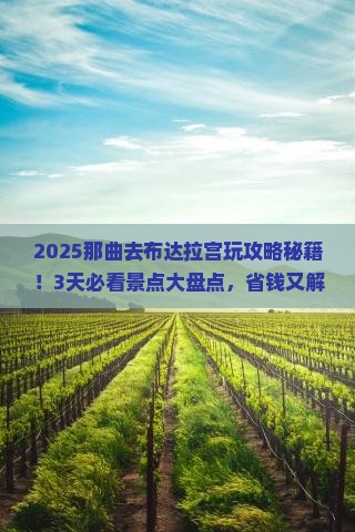 那曲到西藏布达拉宫哪里玩