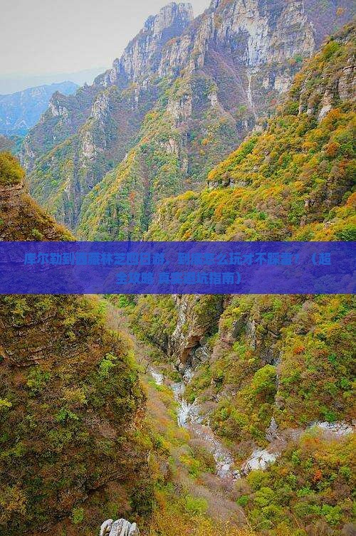 库尔勒到西藏林芝四日游