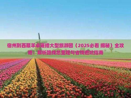 宿州到西藏羊卓雍措大型旅游团