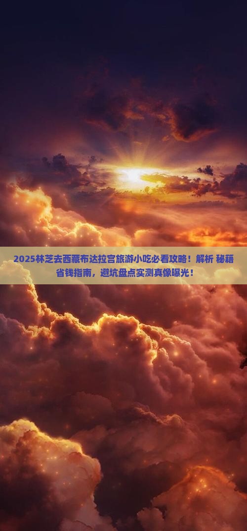 林芝去西藏布达拉宫旅游小吃