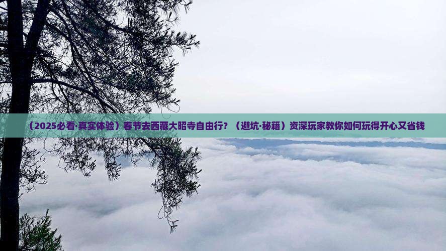 春节到西藏大昭寺自由行