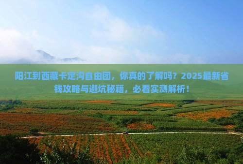 阳江到西藏卡定沟自由团