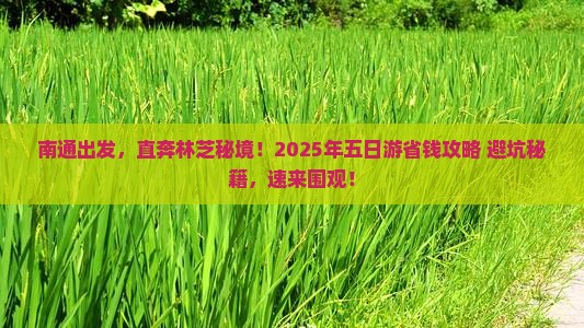 南通到西藏林芝五日游 南通到西藏林芝五日游