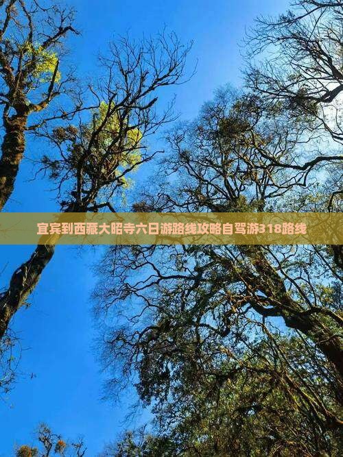宜宾到西藏大昭寺六日游