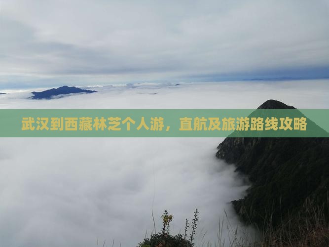 武汉到西藏林芝个人游