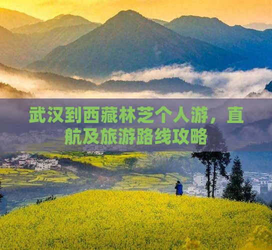 武汉到西藏林芝个人游