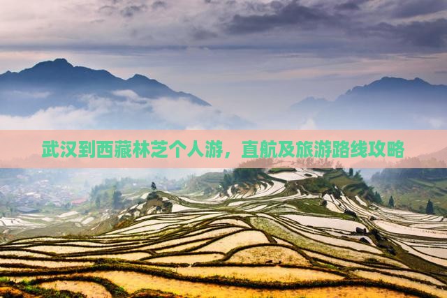 武汉到西藏林芝个人游