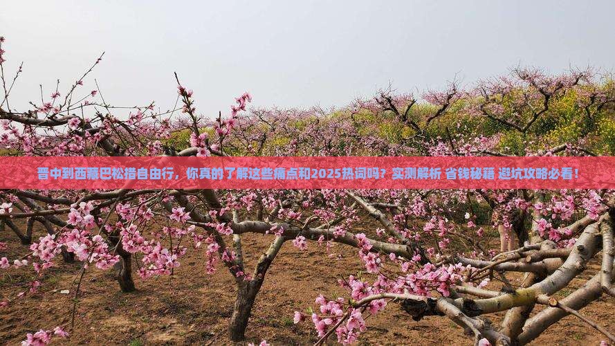 晋中到西藏巴松措自由行
