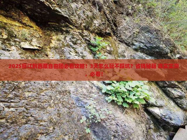 丽江到西藏自由团