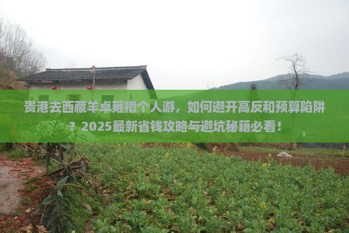 贵港去西藏羊卓雍措个人游