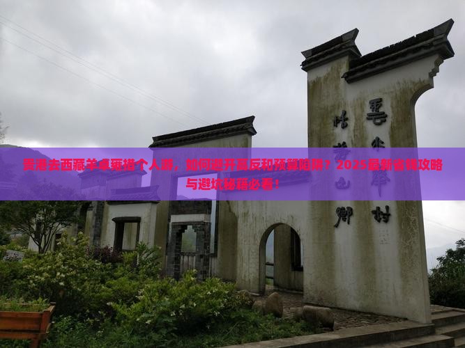 贵港去西藏羊卓雍措个人游