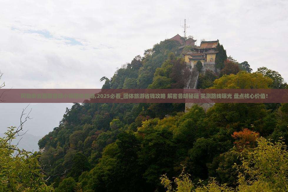 阿勒泰去西藏鲁朗小镇团体旅游
