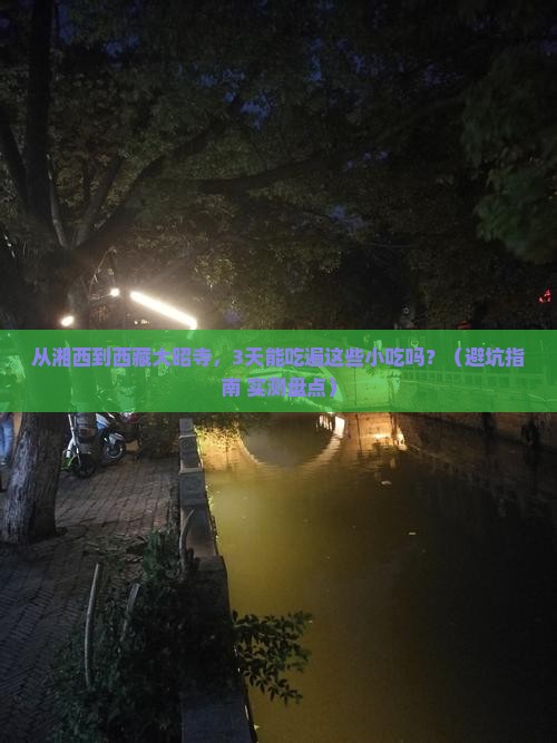湘西去西藏大昭寺旅游小吃