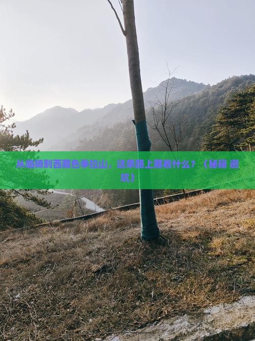 临猗到西藏色季拉山必去地
