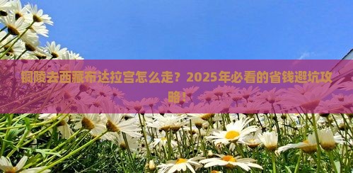 铜陵去西藏布达拉宫攻略