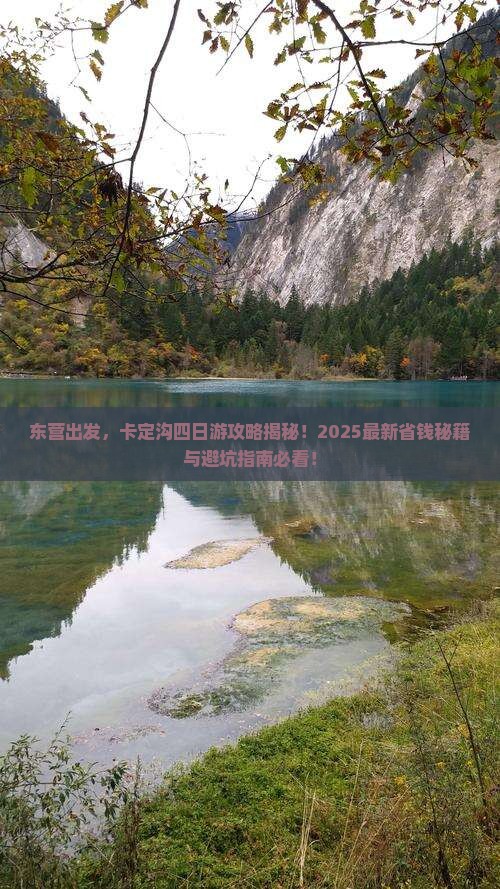 东营去西藏卡定沟四日游