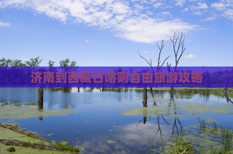 济南到西藏日喀则自由团