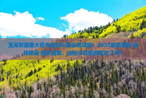 玉溪到西藏大昭寺旅游小吃
