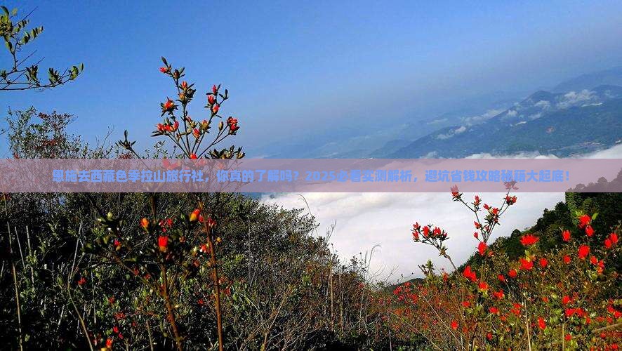 恩施去西藏色季拉山旅行社