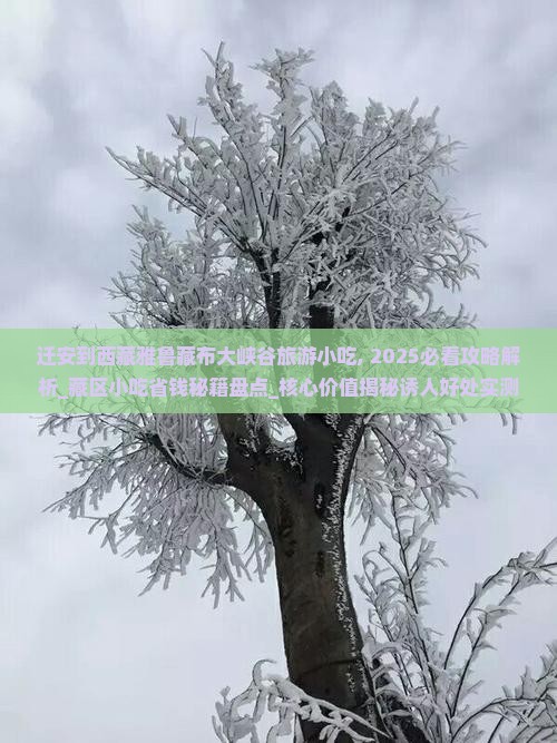 迁安到西藏雅鲁藏布大峡谷旅游小吃