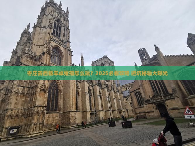 枣庄去西藏羊卓雍措哪里玩