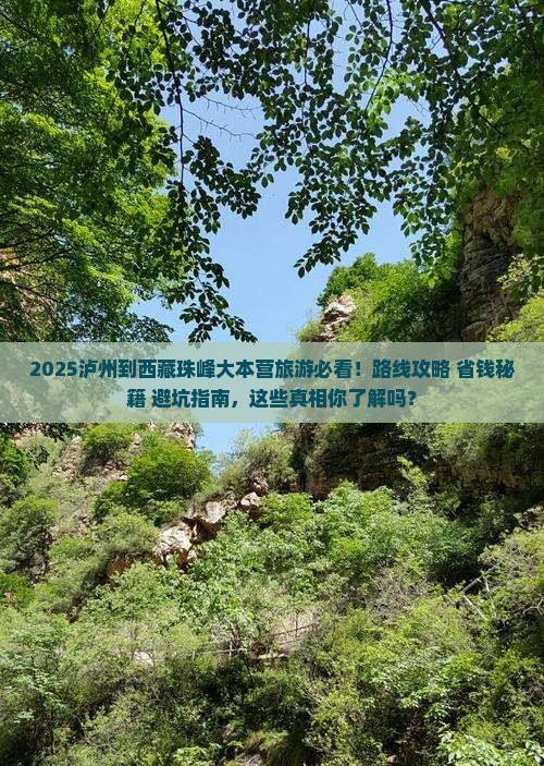 泸州到西藏珠峰大本营旅游