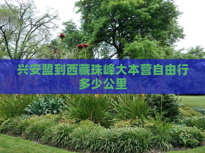 兴安盟到西藏珠峰大本营自由行