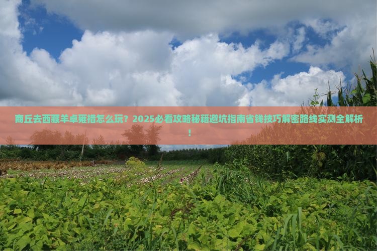 商丘去西藏羊卓雍措必去地