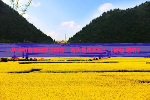 呼和浩特到西藏布达拉宫二日游