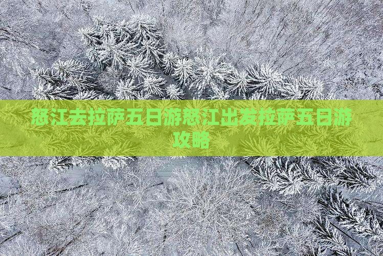 怒江去西藏拉萨五日游