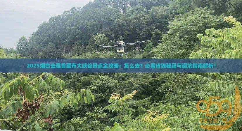 烟台去西藏雅鲁藏布大峡谷景点