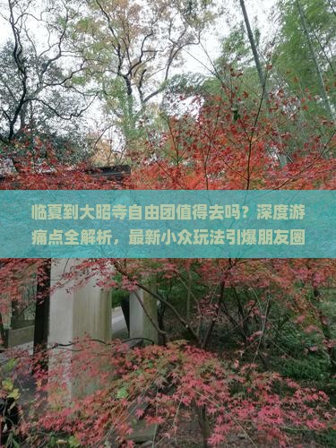 临夏到西藏大昭寺自由团