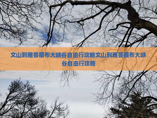 文山到西藏雅鲁藏布大峡谷自由行