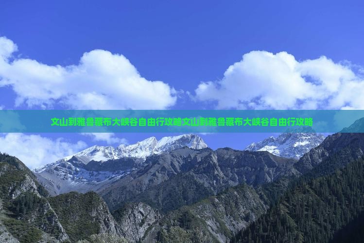文山到西藏雅鲁藏布大峡谷自由行