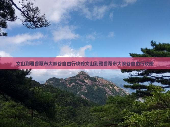 文山到西藏雅鲁藏布大峡谷自由行